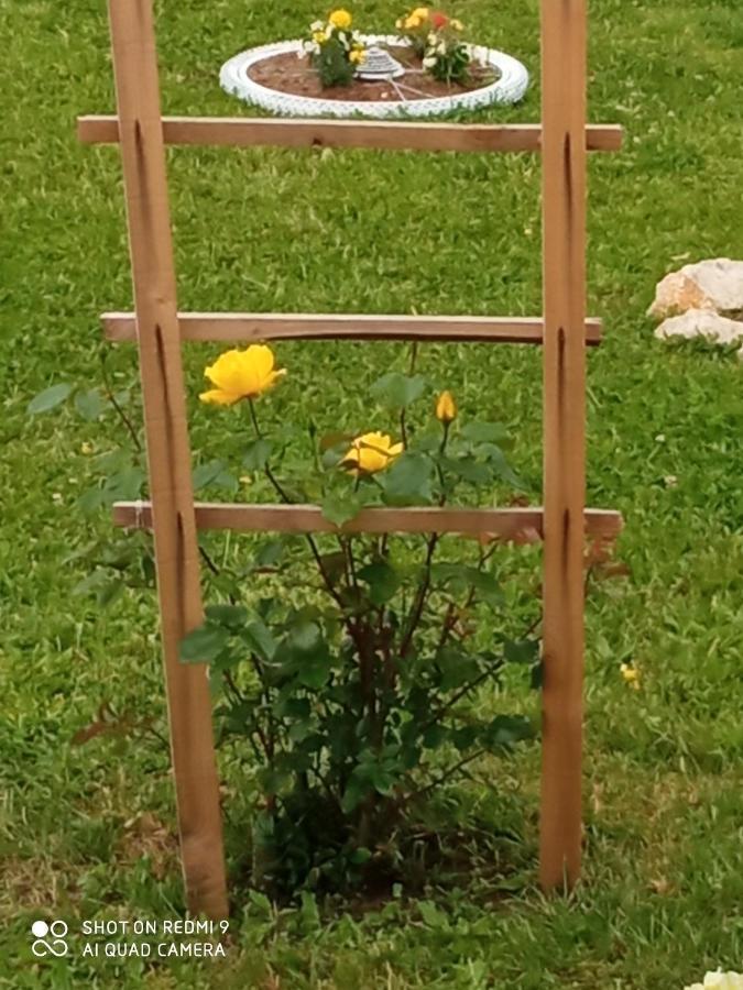 Yellow Rose Rakovica Zewnętrze zdjęcie
