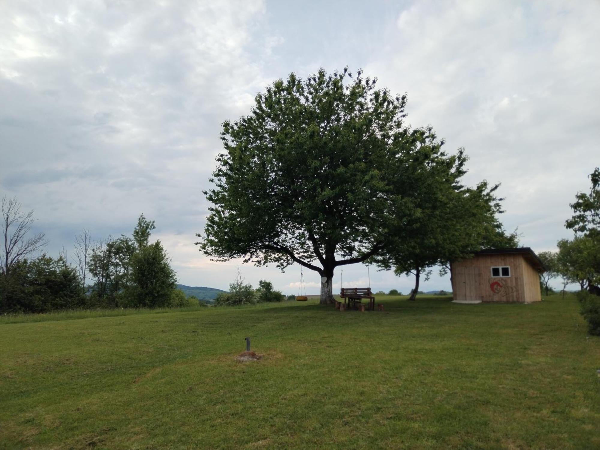 Yellow Rose Rakovica Zewnętrze zdjęcie