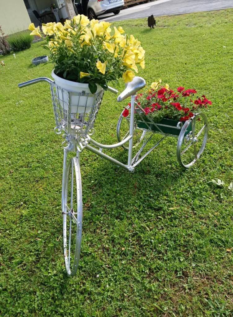Yellow Rose Rakovica Zewnętrze zdjęcie